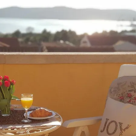 Angir 布罗达里卡