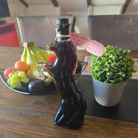 Angir Brodarica (Sibenik-Knin)